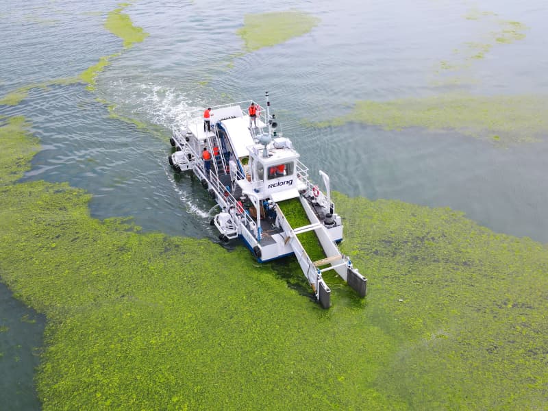 Bateau de nettoyage d'eau et d'écumage des déchets pour récolteuse de plantes aquatiques