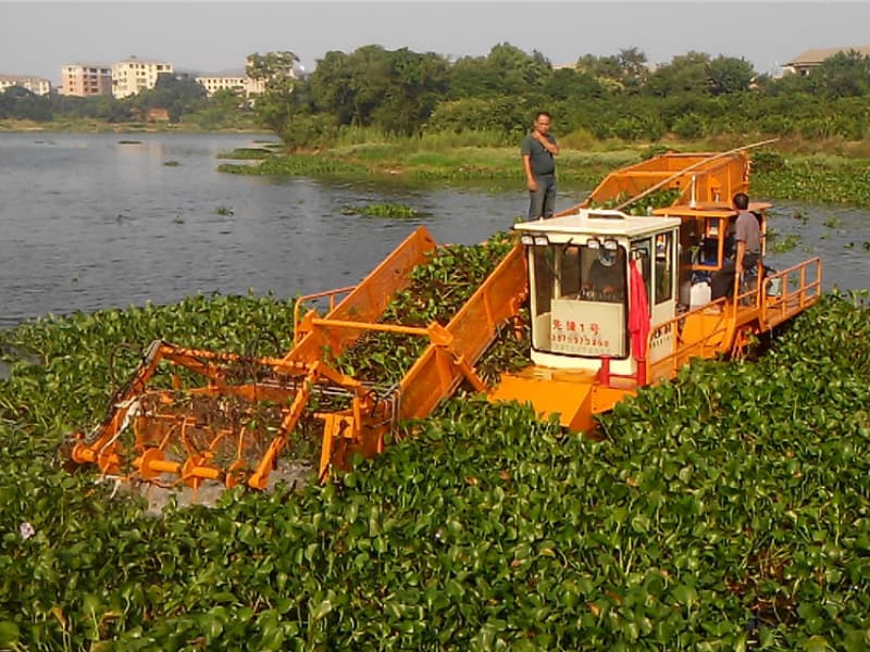 Bateau de nettoyage d'eau et d'écumage des déchets pour récolteuse de plantes aquatiques