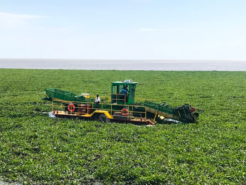 Bateau de nettoyage automatique des eaux/Récolte de plantes aquatiques/Écumeur de déchets
