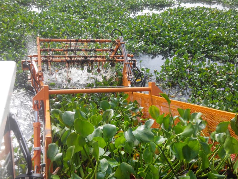 Bateau de nettoyage automatique des eaux/Récolte de plantes aquatiques/Écumeur de déchets