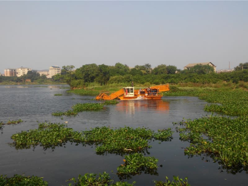 Bateau de nettoyage automatique des eaux/Récolte de plantes aquatiques/Écumeur de déchets